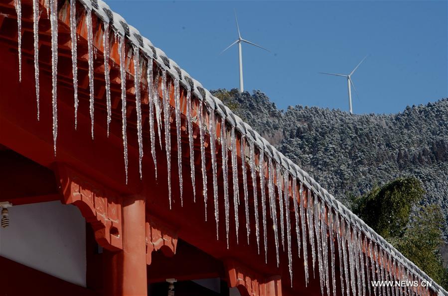 CHINA-HENAN-XINYANG-HUANGBAISHAN NATIONAL FOREST PARK (CN)