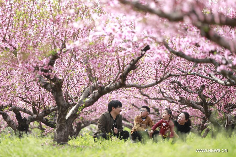 #CHINA-QINGMING FESTIVAL-TOURISM (CN)