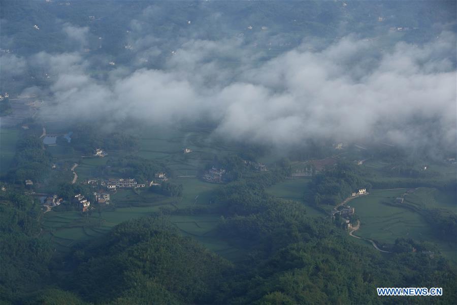 CHINA-SICHUAN-CHANGNING-BAMBOO FORESTS-CLOUDS (CN)