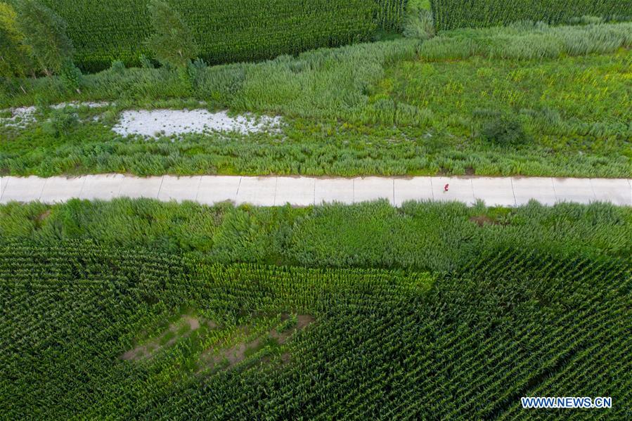 (SP)CHINA-JILIN-CHANGCHUN-RUNNING-MARATHON RUNNER(CN)