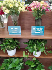 科技保障農產品安全與營養 中國農科院第三屆農科開放日在京啟動