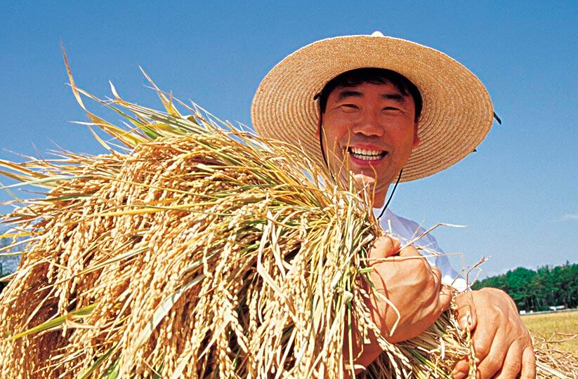 2015年中央一號文件發布 連續第12年聚焦&ldquo;三農&rdquo;