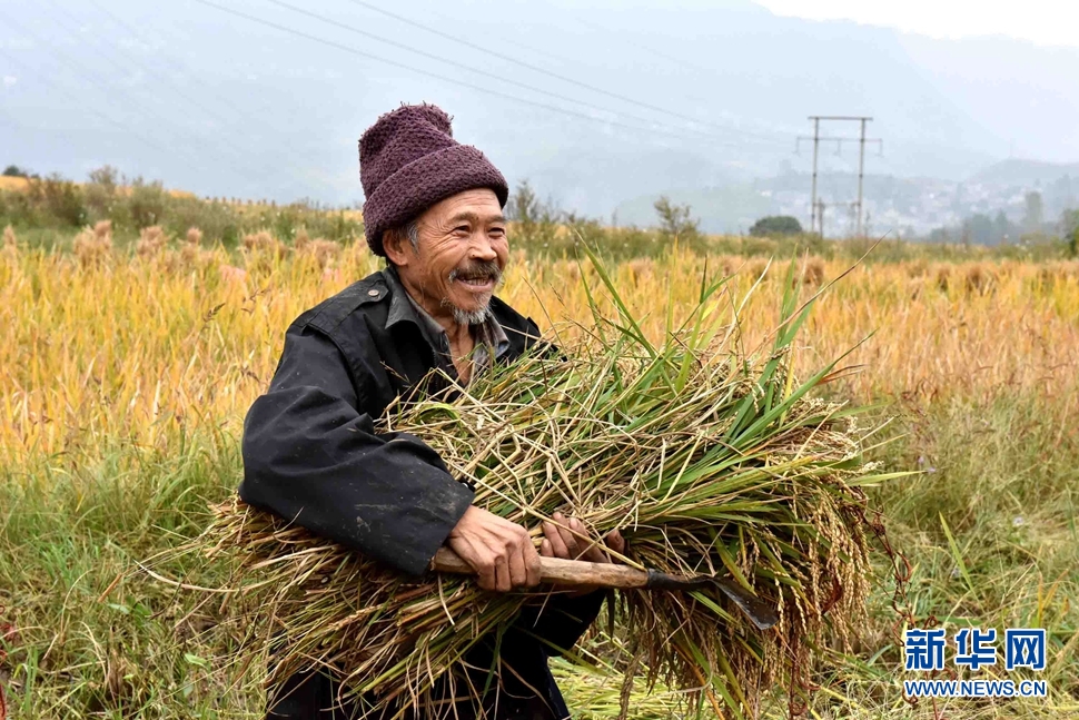 收獲了,農民笑了