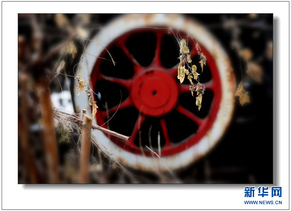 《遺世流年抹滄?！?>	</a></div>
</div>
<div   id=