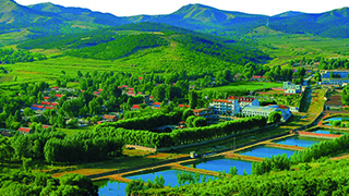 凌源百合節之旅游集錦