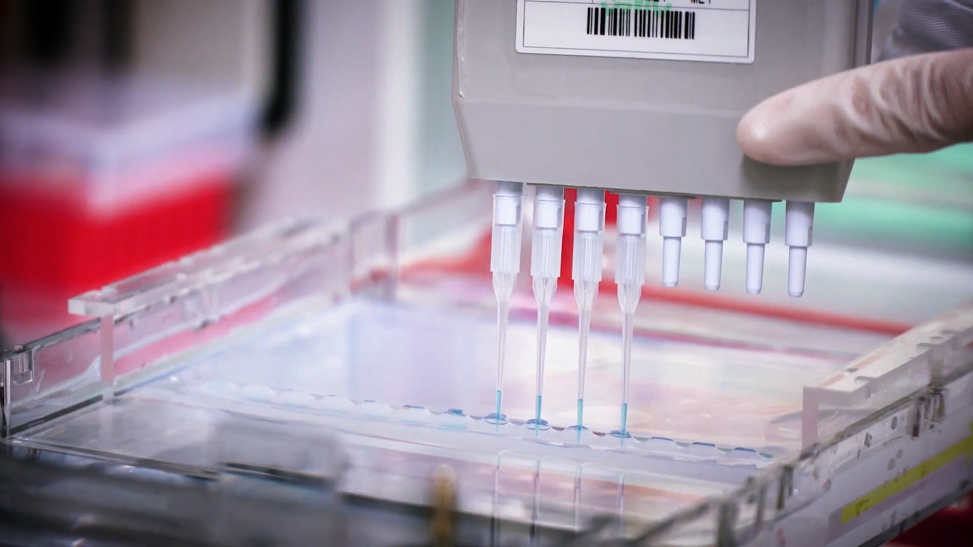 致敬偉大改革｜對話40年，講述身邊的健康故事32&mdash;打破醫(yī)學(xué)禁區(qū)，探尋生命奇跡