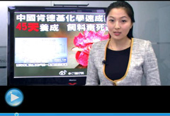 權威聲音：&ldquo;快時代&rdquo;究竟還有什么可以速成？