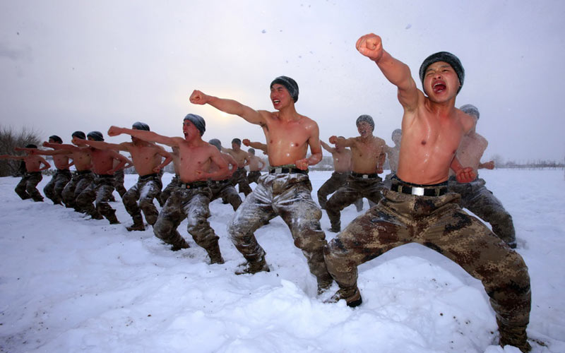 查春明作品：&ldquo;老虎連"戰士