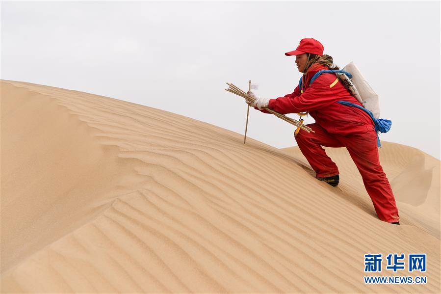 （新春走基層）（8）石油物探隊(duì)的&ldquo;女漢子&rdquo;
