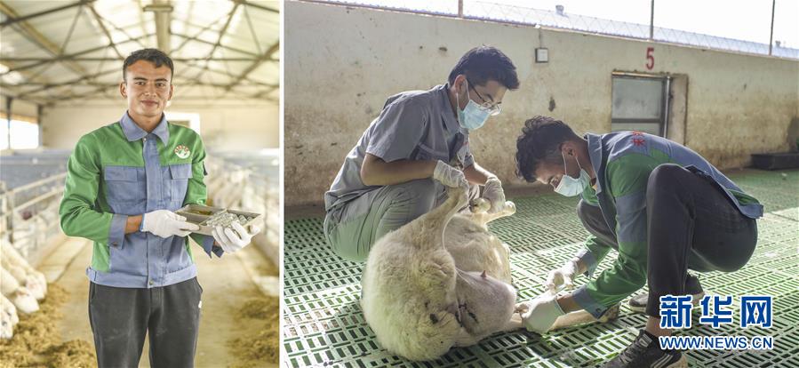 （脫貧攻堅&middot;圖片故事）（9）脫貧靠雙手&mdash;&mdash;新疆和田地區未摘帽縣就業見聞