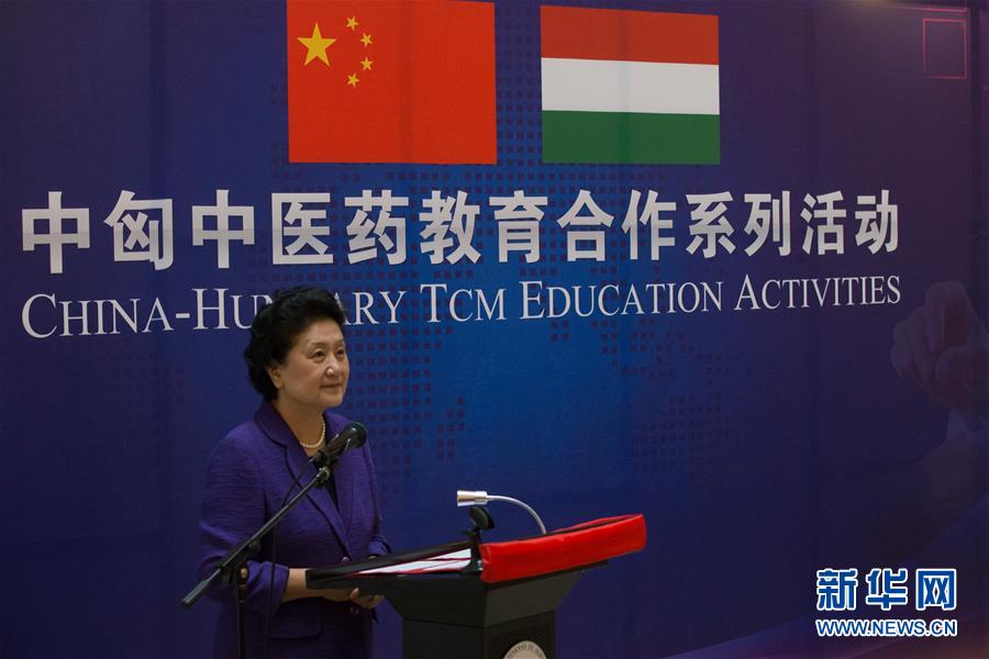 6月18日，在匈牙利布達佩斯，中國國務院副總理劉延東出席中匈中醫藥教育合作系列活動時講話。中國國務院副總理劉延東18日在布達佩斯考察匈牙利塞梅爾維斯醫科大學并出席中匈中醫藥教育合作系列活動。 新華社發（弗爾季&middot;奧蒂洛攝）