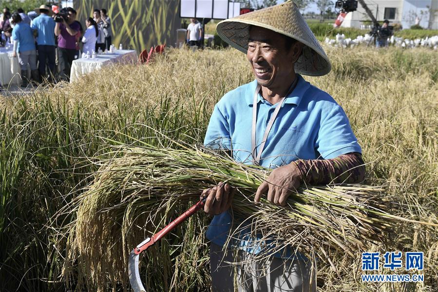 (新華全媒頭條·圖文互動(dòng))(2)歷史性飛躍的偉大實(shí)踐——中國(guó)共產(chǎn)黨引領(lǐng)中國(guó)特色社會(huì)主義開(kāi)辟發(fā)展新境界述評(píng)