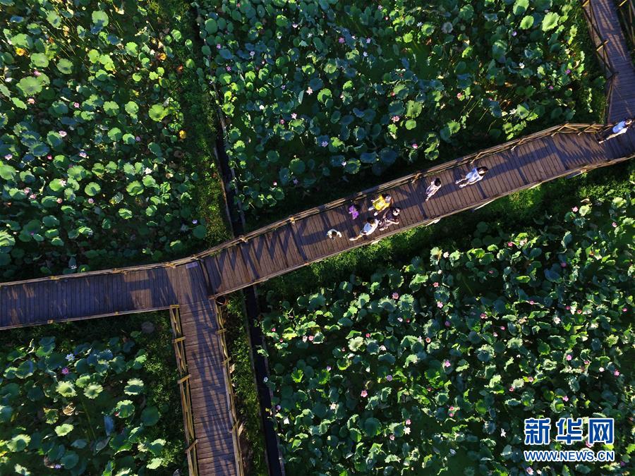 （新時代新氣象新作為&middot;圖文互動）（2）向著小康沖刺&mdash;&mdash;江西脫貧攻堅&ldquo;百日行動&rdquo;掃描 