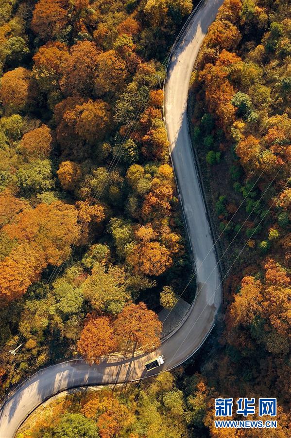 （新華全媒頭條&middot;新時(shí)代新氣象新作為&middot;圖文互動(dòng)）（9）抬腳踏上水泥路，出門(mén)坐上公交車(chē)&mdash;&mdash;我國(guó)竭力破除農(nóng)村交通&ldquo;最后一公里&rdquo;瓶頸