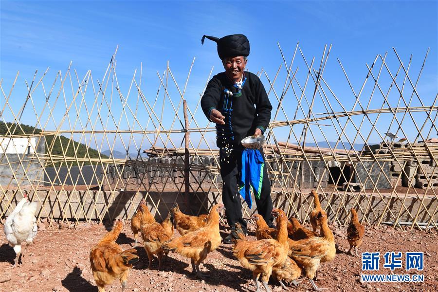 （新華全媒頭條&middot;圖文互動(dòng)）（2）行程萬(wàn)里 人民至上&mdash;&mdash;習(xí)近平總書(shū)記春節(jié)考察足跡回訪