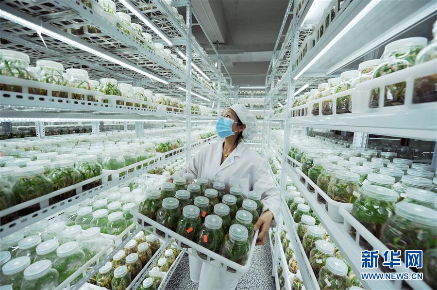 （新華全媒頭條&middot;兩會精神看落實&middot;圖文互動）（1）適應發(fā)展新方位 奮進決勝長征路