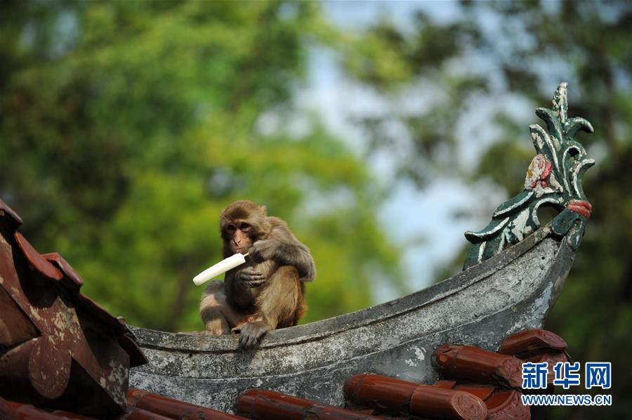 （鏡觀中國&middot;新華網）（5）新華社國內照片一周精選