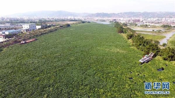 （圖文互動(dòng)）（1）&ldquo;白練&rdquo;變&ldquo;黑龍&rdquo;，江河變&ldquo;草原&rdquo;－－粵東母親河為何污染20多年難治理？