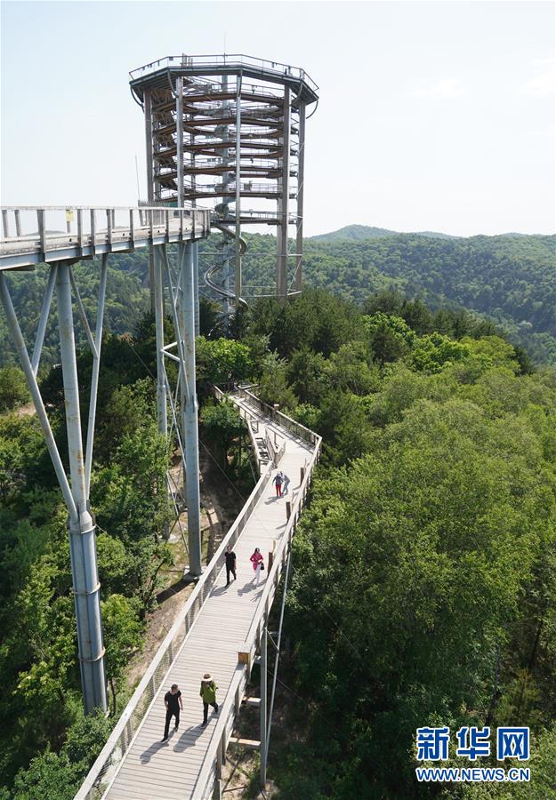 （壯闊東方潮 奮進新時代&mdash;&mdash;慶祝改革開放40年）（14）退耕還林20年 延安大地譜新篇