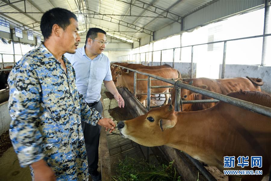 （脫貧攻堅&middot;圖文互動）（2）&ldquo;不畏難、不畏煩、不畏苦&rdquo;&mdash;&mdash;記&ldquo;80后&rdquo;扶貧干部李朝陽