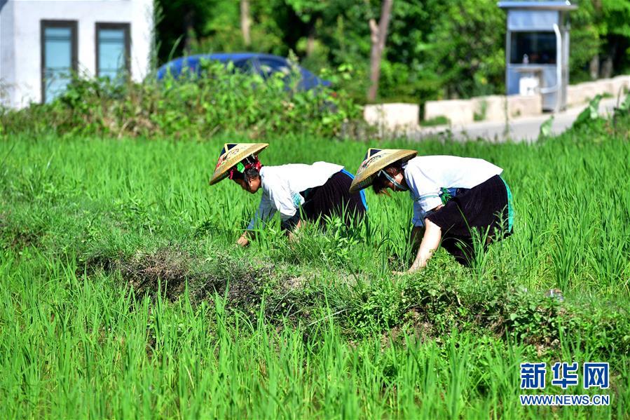 （社會）（2）苗山脫貧影像志&mdash;&mdash;把苗寨搬進景區 讓貧困戶住進城里