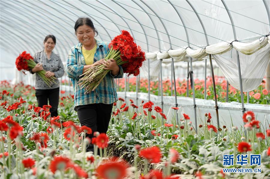 （大江奔流&mdash;&mdash;來自長江經濟帶的報道&middot;新華全媒頭條&middot;圖文互動）（3）擘畫新時代中國發(fā)展新坐標&mdash;&mdash;深入推動長江經濟帶發(fā)展述評  