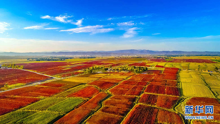 秋收的中國，你想象不到的美！但更美的是&hellip;&hellip;