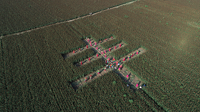 秋收的中國，你想象不到的美！但更美的是&hellip;&hellip;