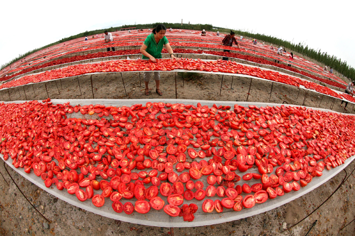 秋收的中國，你想象不到的美！但更美的是&hellip;&hellip;