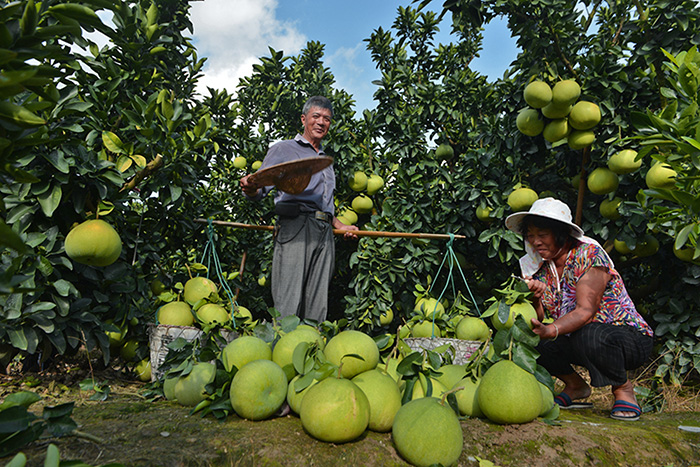 秋收的中國，你想象不到的美！但更美的是&hellip;&hellip;