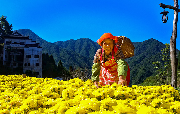 秋收的中國，你想象不到的美！但更美的是&hellip;&hellip;