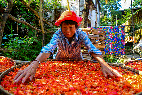 秋收的中國，你想象不到的美！但更美的是&hellip;&hellip;