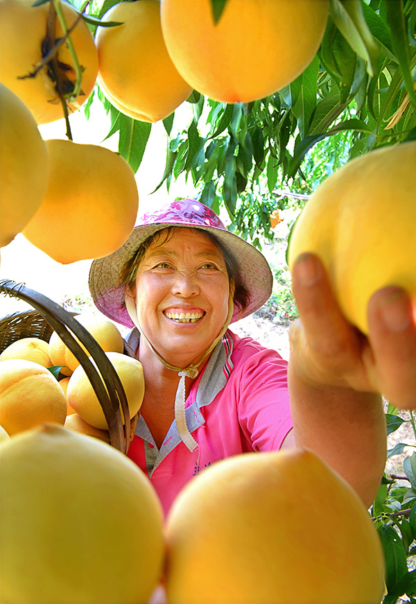秋收的中國，你想象不到的美！但更美的是&hellip;&hellip;