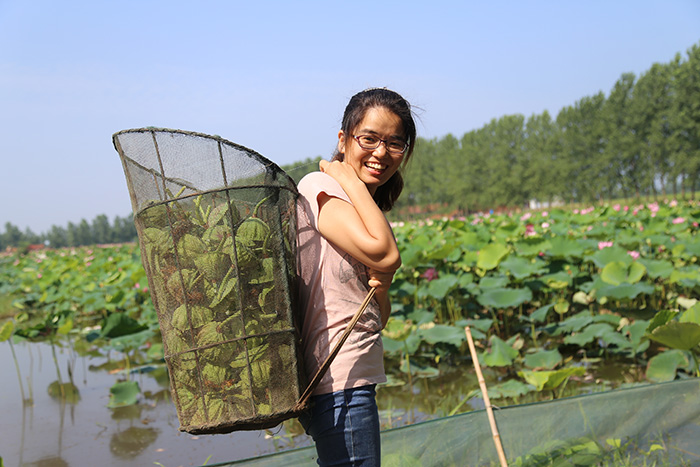 秋收的中國，你想象不到的美！但更美的是&hellip;&hellip;