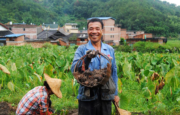 秋收的中國，你想象不到的美！但更美的是&hellip;&hellip;