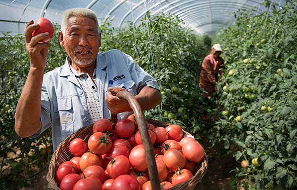 秋收的中國，你想象不到的美！但更美的是&hellip;&hellip;