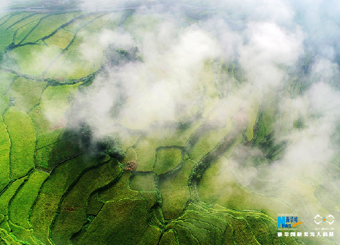 秋收的中國，你想象不到的美！但更美的是&hellip;&hellip;