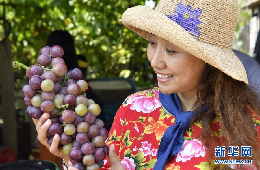 （新華全媒頭條&middot;圖文互動）（8）最年輕的節日 最悠久的牽念&mdash;&mdash;寫給首個中國農民豐收節