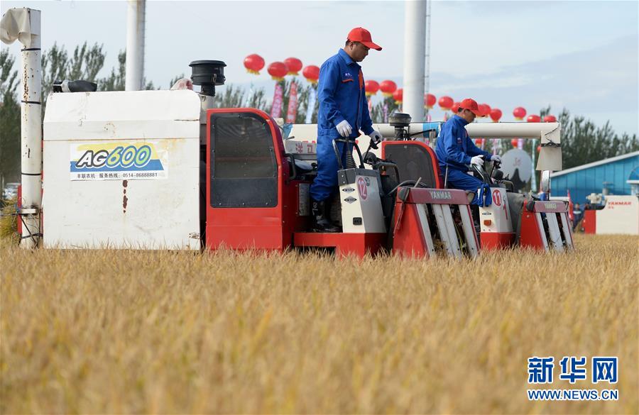 （新華全媒頭條&middot;圖文互動）（9）最年輕的節日 最悠久的牽念&mdash;&mdash;寫給首個中國農民豐收節