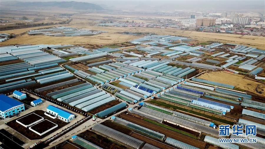 （百城百縣百企調研行&middot;圖文互動）（1）瞧瞧這些村咋富起來的&mdash;&mdash;黑龍江省牡丹江市發展特色精品農業促農增收