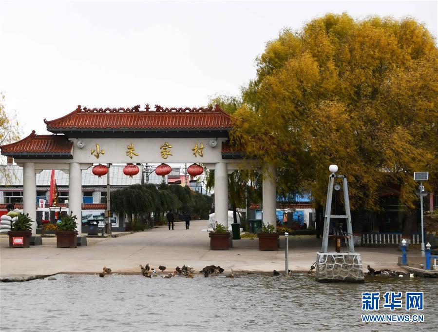 （百城百縣百企調研行&middot;圖文互動）（4）瞧瞧這些村咋富起來的&mdash;&mdash;黑龍江省牡丹江市發展特色精品農業促農增收