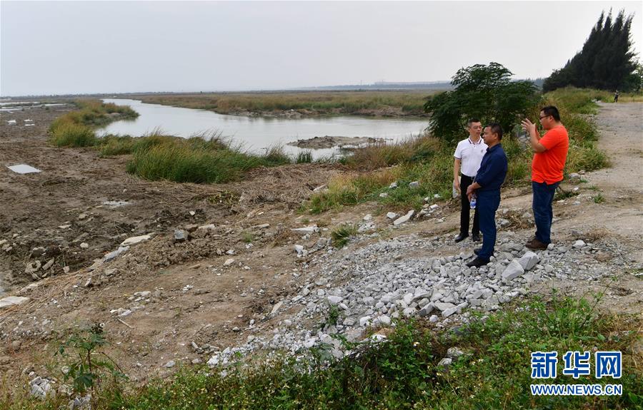 （新華視點&middot;圖文互動）（6）福建10名黨員干部被問責的背后：7部門十余次執法未能有效制止泉州灣濕地圍墾行為