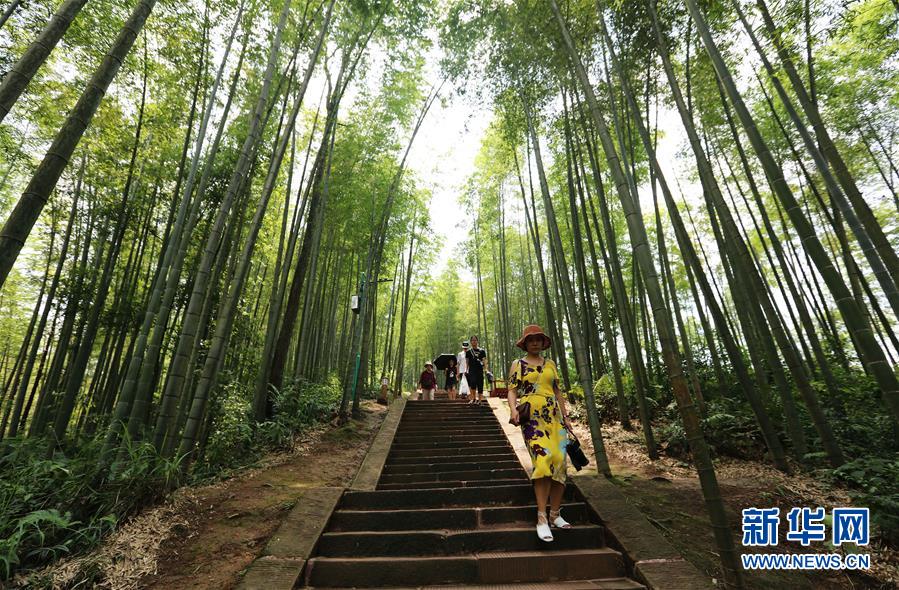 （在習(xí)近平新時代中國特色社會主義思想指引下&middot;慶祝改革開放40周年&middot;綠色發(fā)展&middot;圖文互動）（1）向陽花木易為春&mdash;&mdash;綠色發(fā)展之&ldquo;木&rdquo;的故事