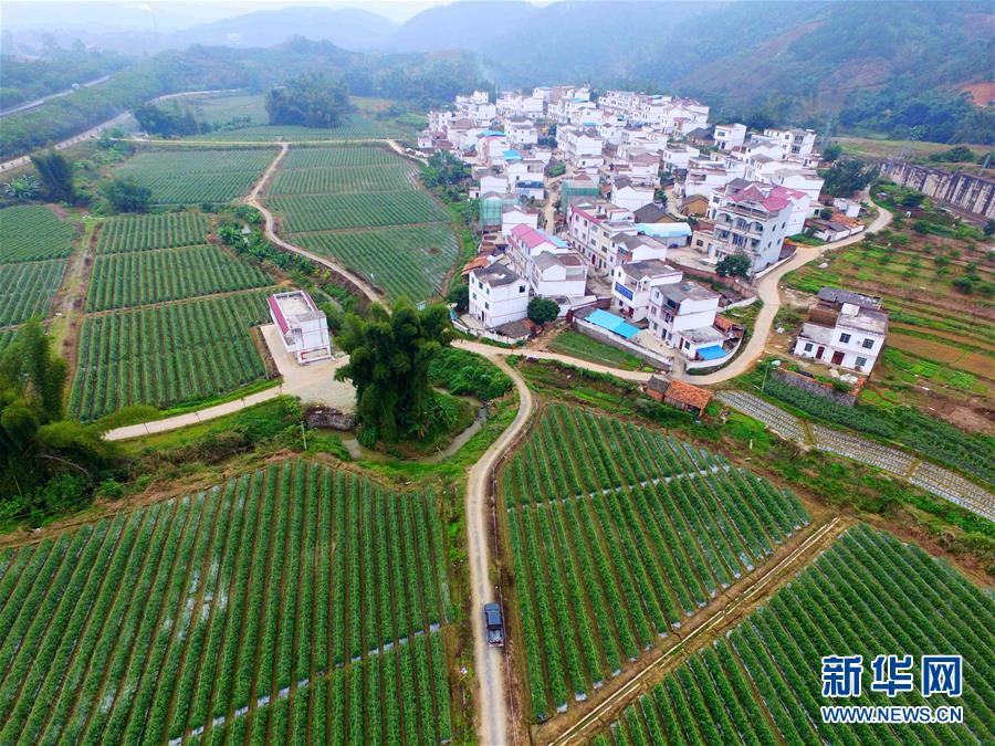 （輝煌60年&middot;壯美新廣西&middot;圖文互動(dòng)）（10）從禿山到青山的蝶變&mdash;&mdash;廣西石漠化治理10年再現(xiàn)發(fā)展生機(jī)