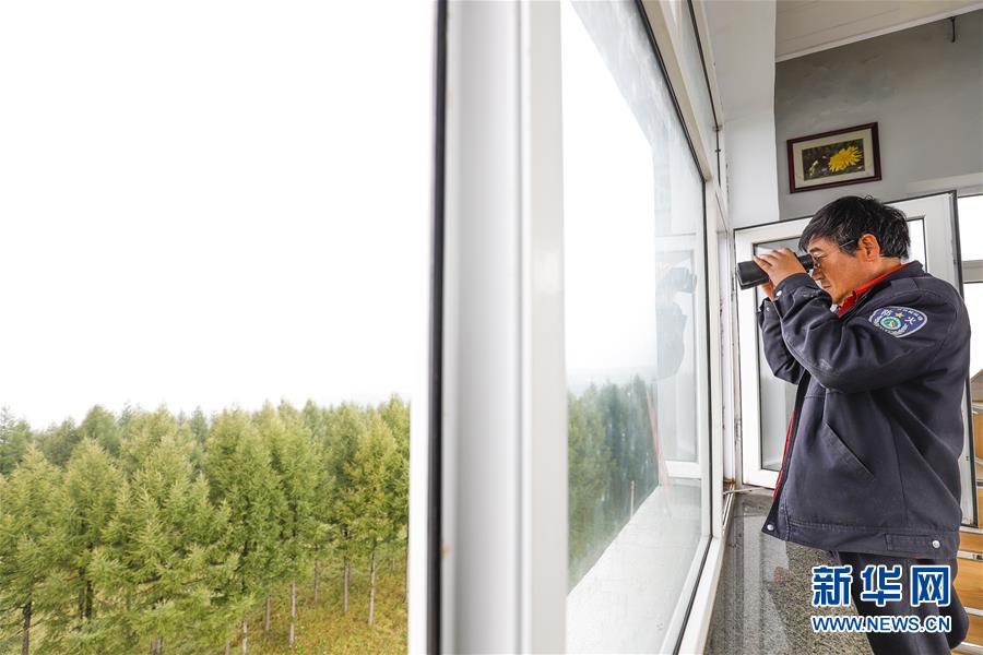 （新華全媒頭條&middot;圖文互動(dòng)）（3）那一抹綠色，走進(jìn)越來(lái)越多人心里&mdash;&mdash;河北塞罕壩續(xù)寫新時(shí)代綠色傳奇