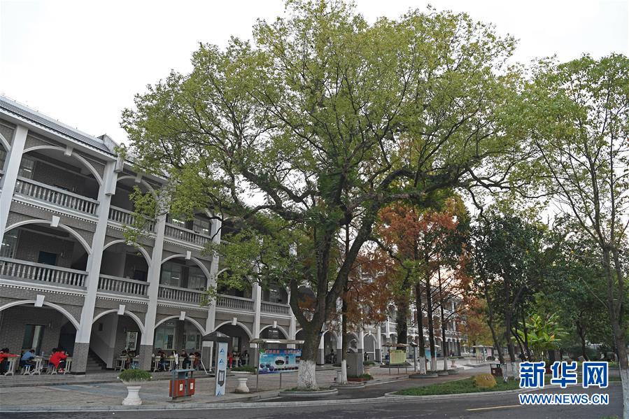 （慶祝改革開放40周年基層行&middot;學校篇&middot;圖文互動）（9）白鷺洲中學40年:書院教育的時代探索