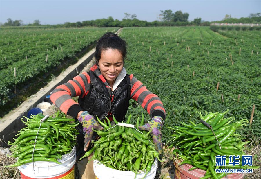 （輝煌60年&middot;壯美新廣西&middot;圖文互動）（2）攜手描繪八桂大地上的美麗畫卷&mdash;&mdash;寫在廣西壯族自治區成立60周年之際