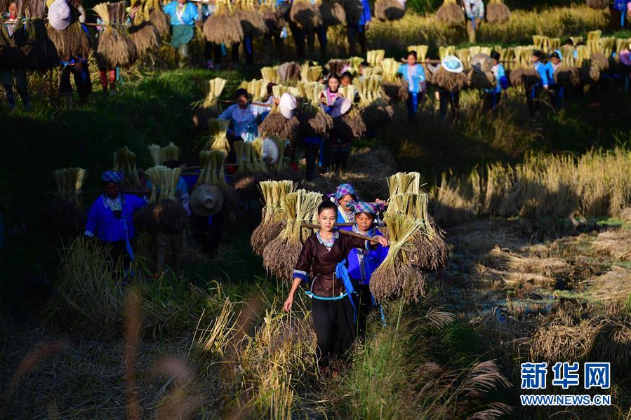 （輝煌60年&middot;壯美新廣西&middot;圖文互動）（6）攜手描繪八桂大地上的美麗畫卷&mdash;&mdash;寫在廣西壯族自治區成立60周年之際