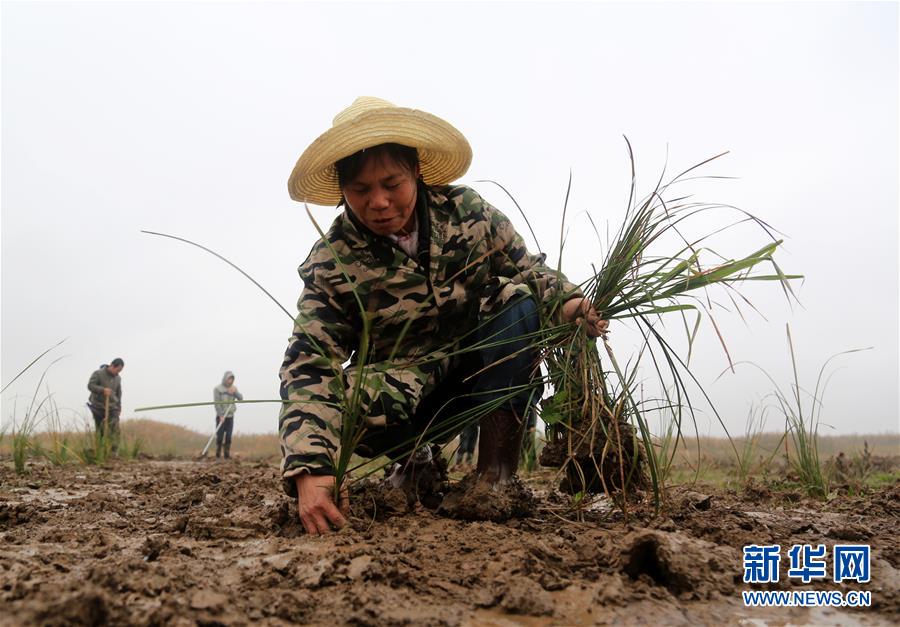 (新華視點(diǎn)·回望2018·圖文互動(dòng))(3)2018年新華社曝光多起破壞生態(tài)事件,記者年底追訪(fǎng)發(fā)現(xiàn)……