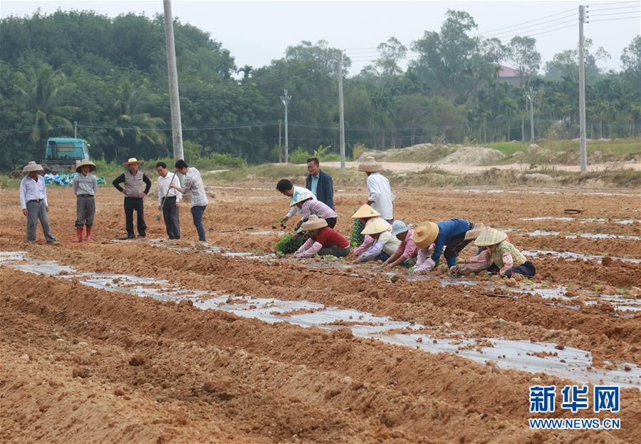 （新華視點(diǎn)&middot;回望2018&middot;圖文互動(dòng)）（7）2018年新華社曝光多起破壞生態(tài)事件，記者年底追訪(fǎng)發(fā)現(xiàn)&hellip;&hellip;